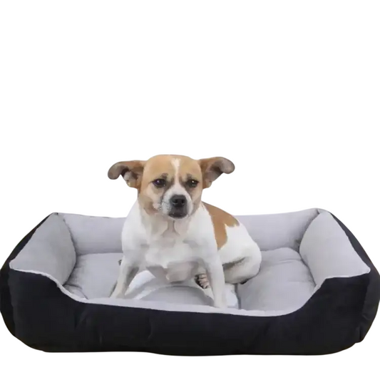 CloudNap™ Fluffy Calming Pet Bed – Sofa-Soft Comfort for Dogs & Cats